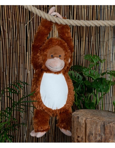 M-MM580-Zippie Orang-Utan